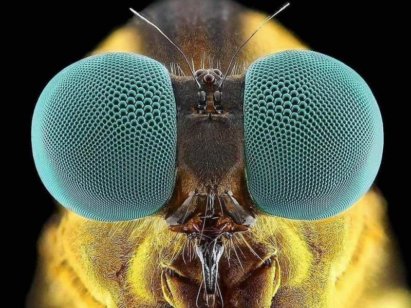 Bölüm 2: Fraktal varoluşun dayanılmaz&nbsp;hafifliği.