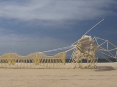 Bölüm 3: Sahildeki&nbsp;yaratıklar?